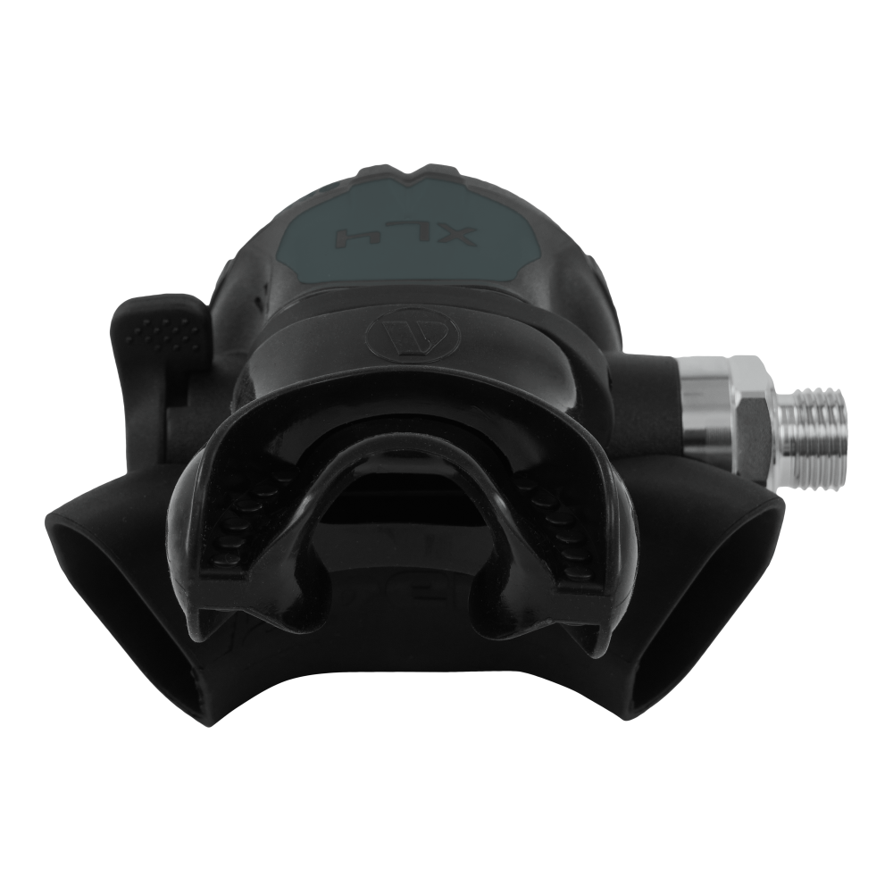 OceaGreyBack